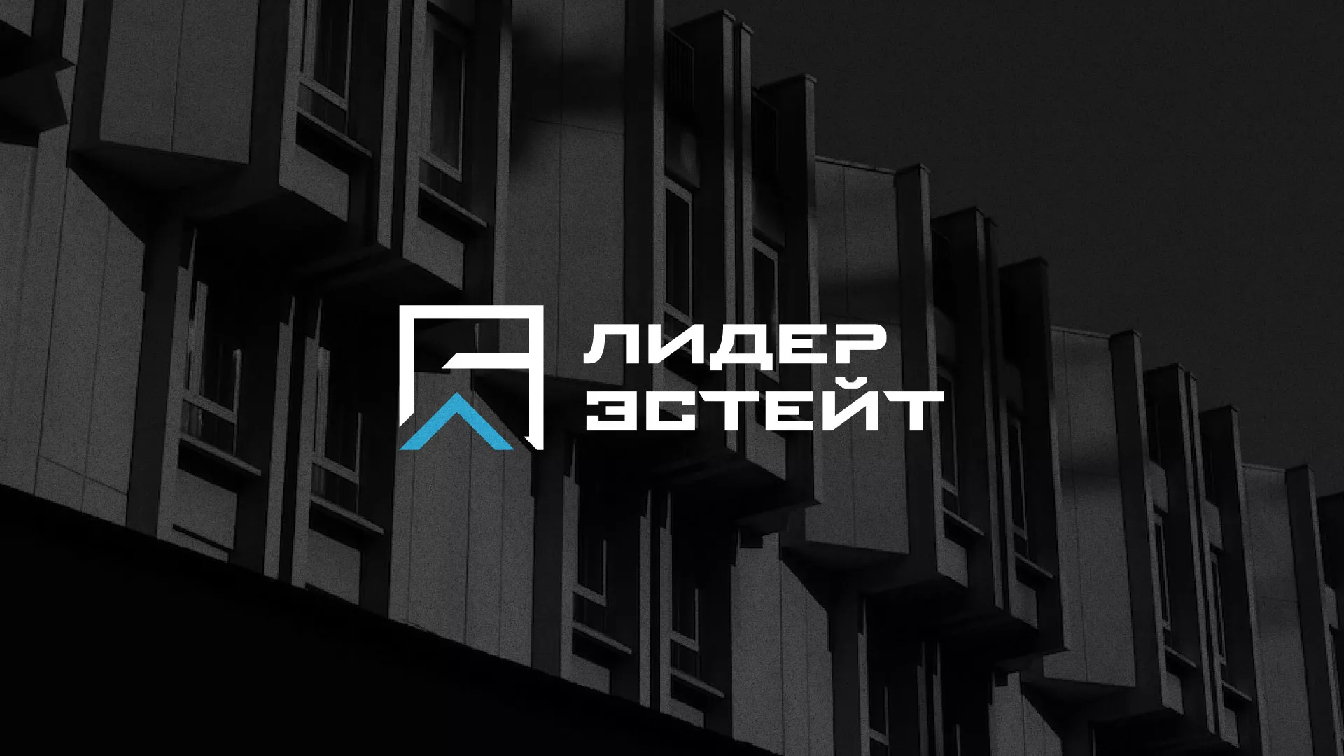 Разработка логотипа агентства недвижимости «Лидер Эстейт» в Дудинке